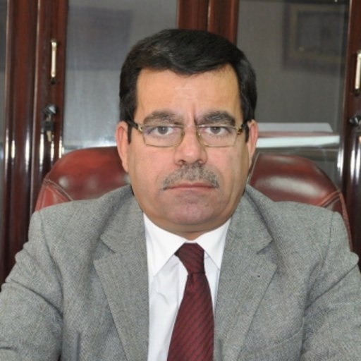 Ahmed M. Abdul-Lettif,