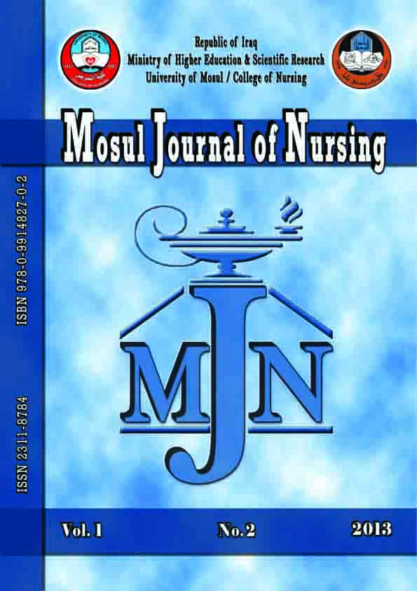 Issue 2