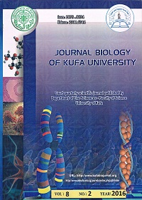 Issue 2