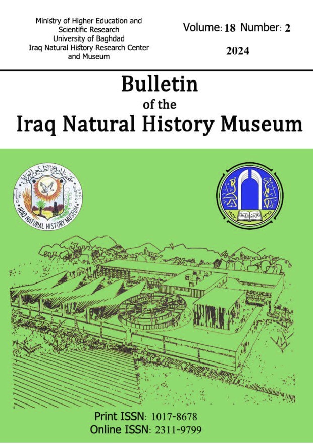 Issue 2