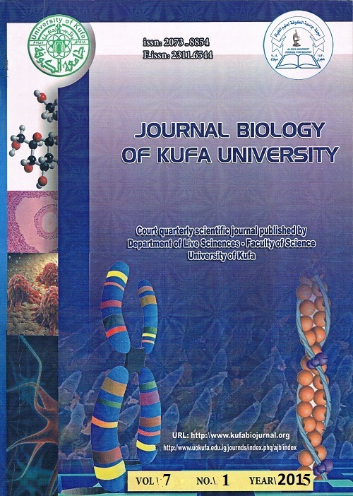 Issue 1