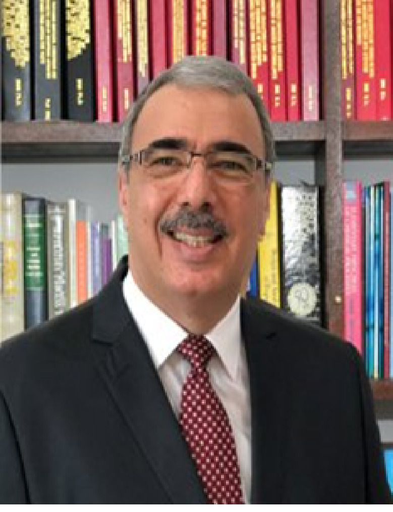 Bassim H. Hameed
