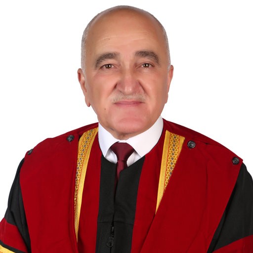 Rami H. Al-Hadeethi