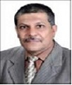 Alaa Abdul Khalek Hussein Sawad