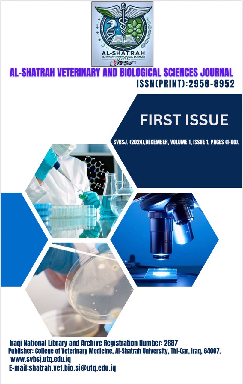Issue 1