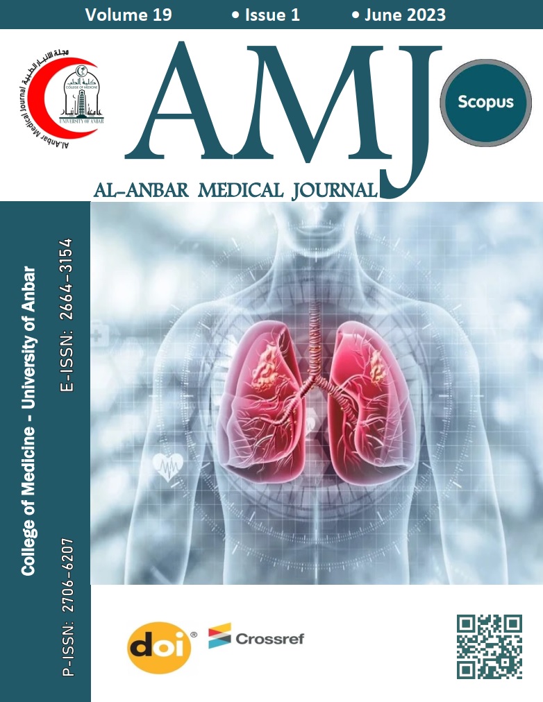 Issue 1