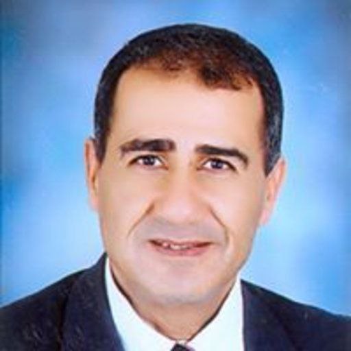 Mamdouh Mohamed Salem Serag, Egypt