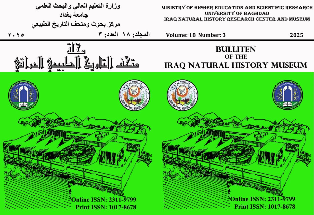 Issue 3