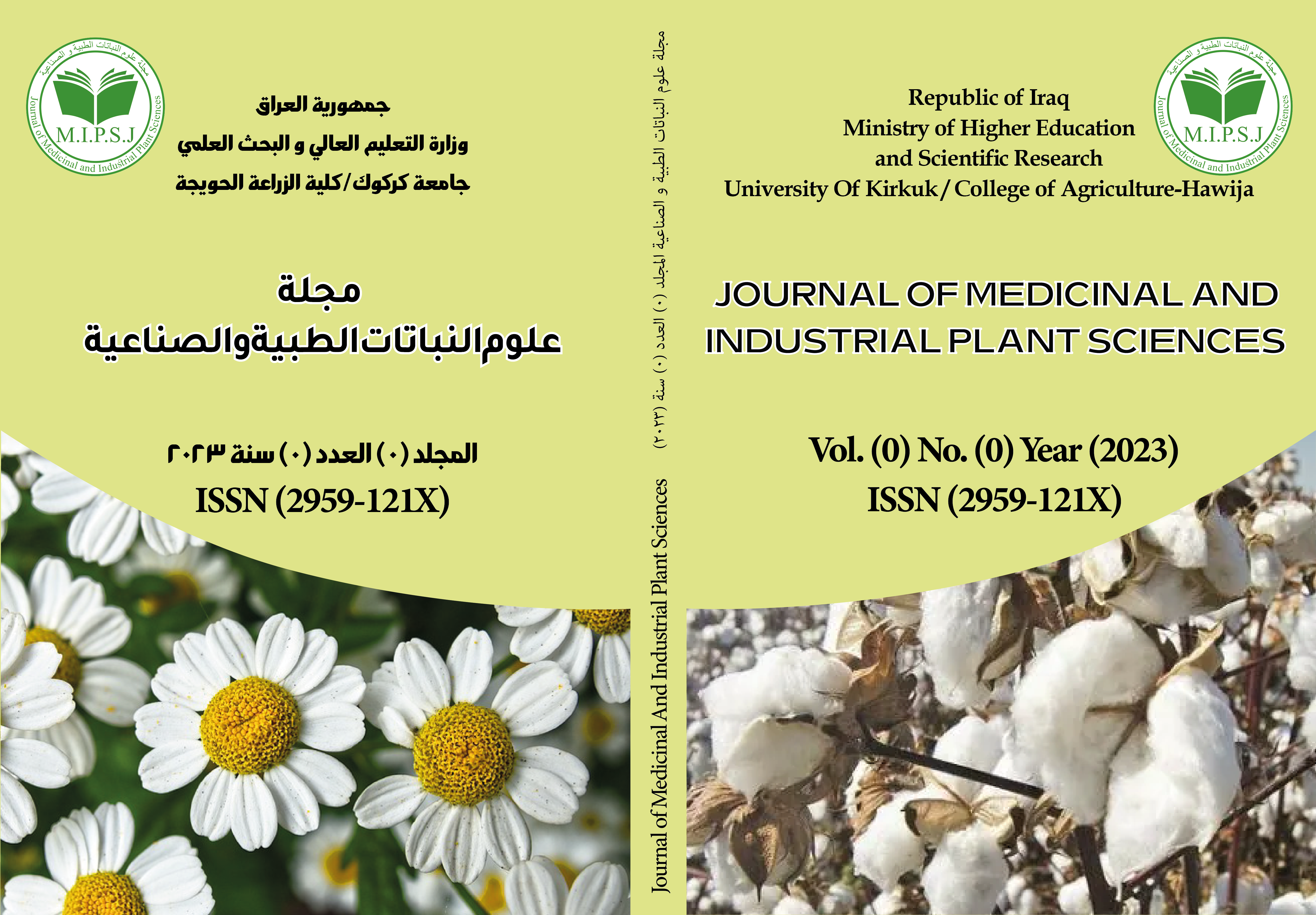 Issue 2