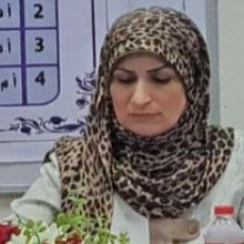 Prof. Dr. S. I. Hussein