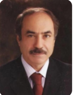 Helmi Khadir Sari