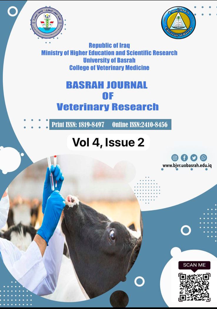 Issue 2