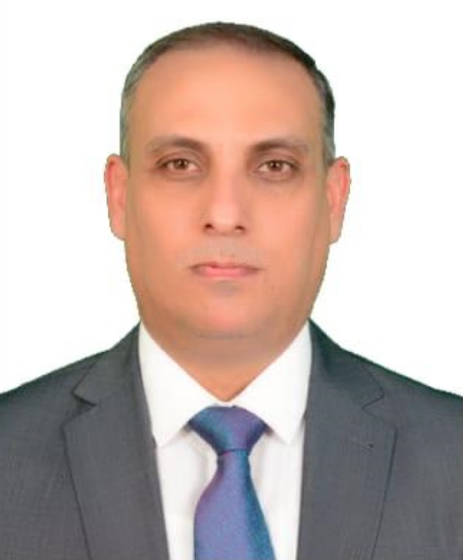 Qais N. Rahi