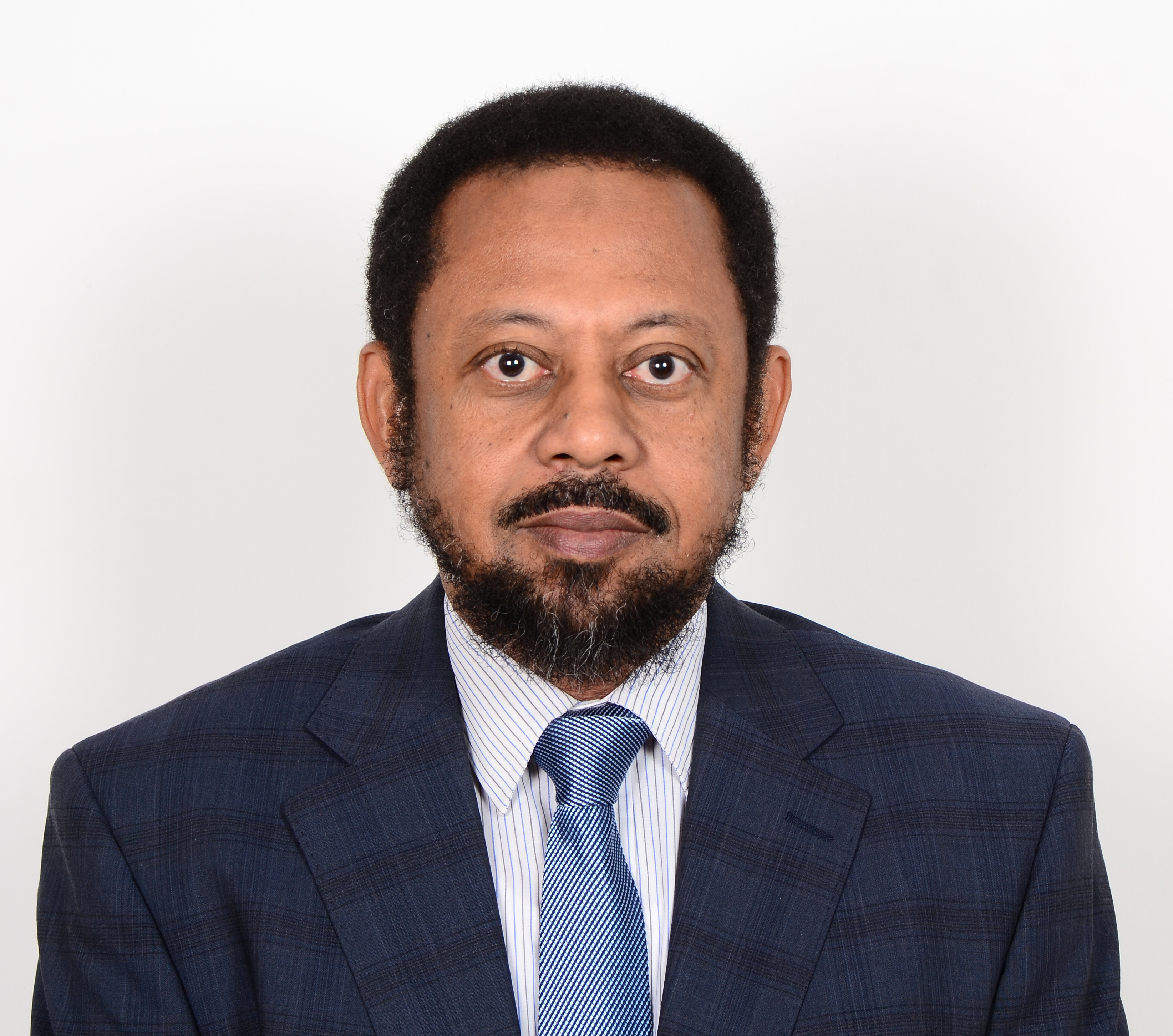 Prof. Mohammed Suleiman Al-Noor