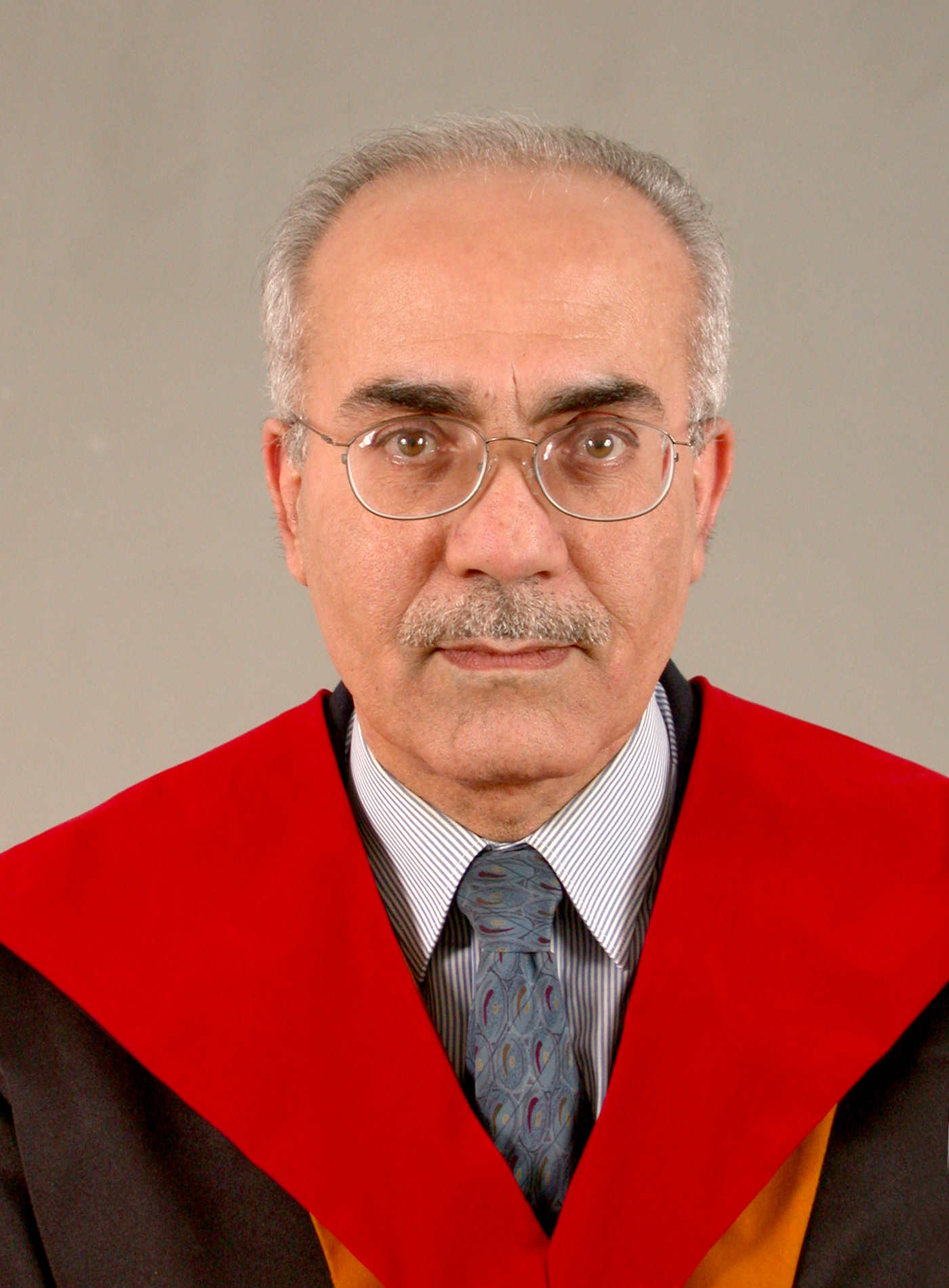 Prof Dr. Walaa Majid Amin