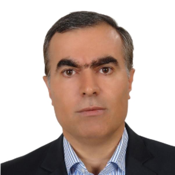 Javad Gholami, Prof. Dr.