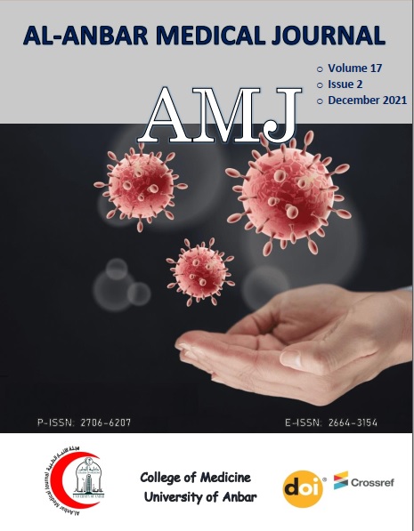 Issue 2