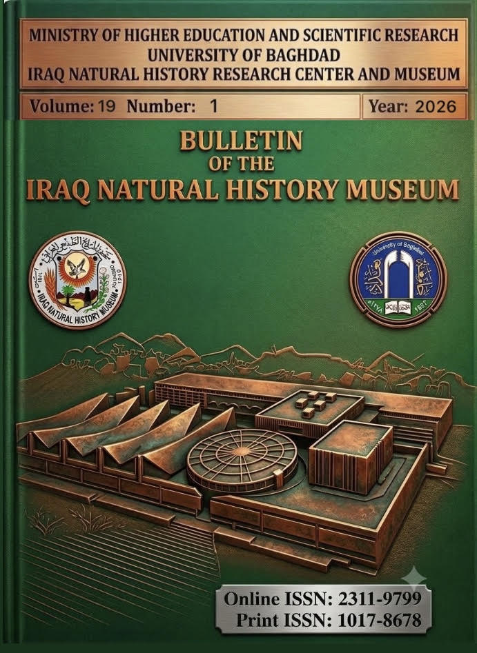 Issue 1